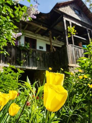 Фото номера Дом с 4 спальнями Дома для отпуска Casa Zmeura г. Вэлени-де-Мунте 48
