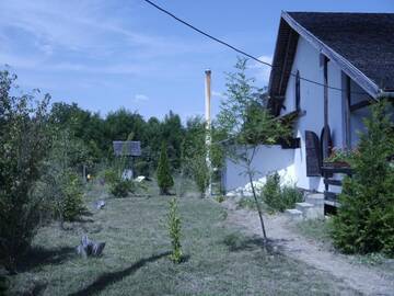 Фото номера Дом для отпуска Дома для отпуска Casa Bughea г. Вэлени-де-Мунте 22